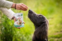 DIBAQ SENSE Immunity Duck 100g
