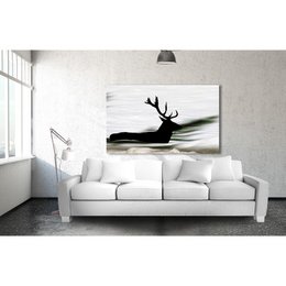 Acrylic glass billeder - Swimming Deer