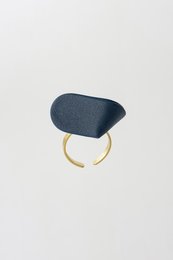 anillo de hericon