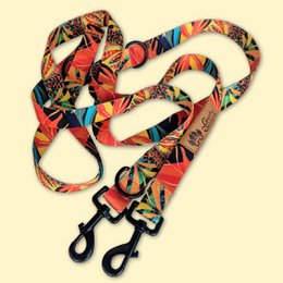 Tropical multi-position leash
