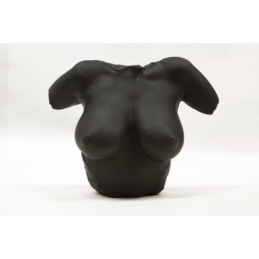 Black Venus af Berlin