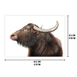 Water Buffalo Greeting Card, Animal Birthday Cards, Farm Cards