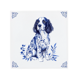 Englischer Springer Spaniel