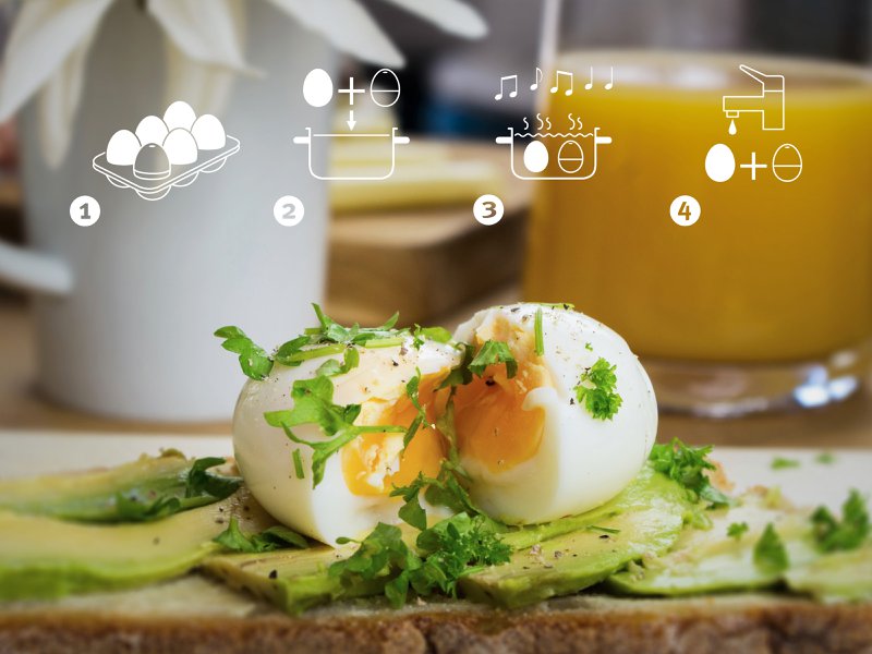 Seal beep egg / intelligent egg timer