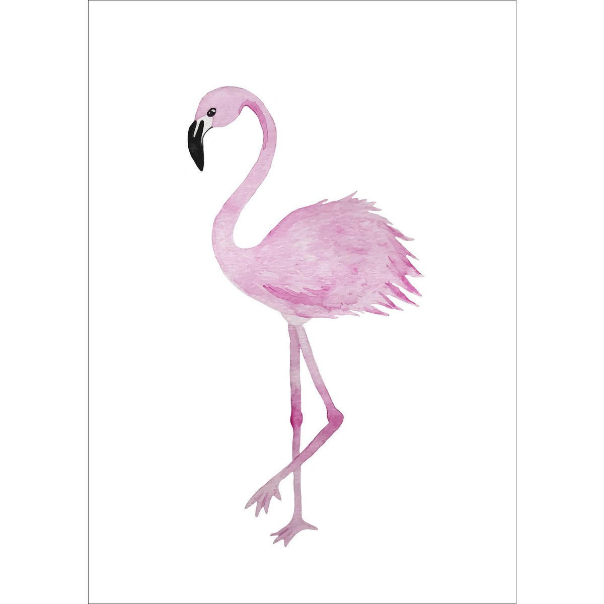 Postcard - Flamingo