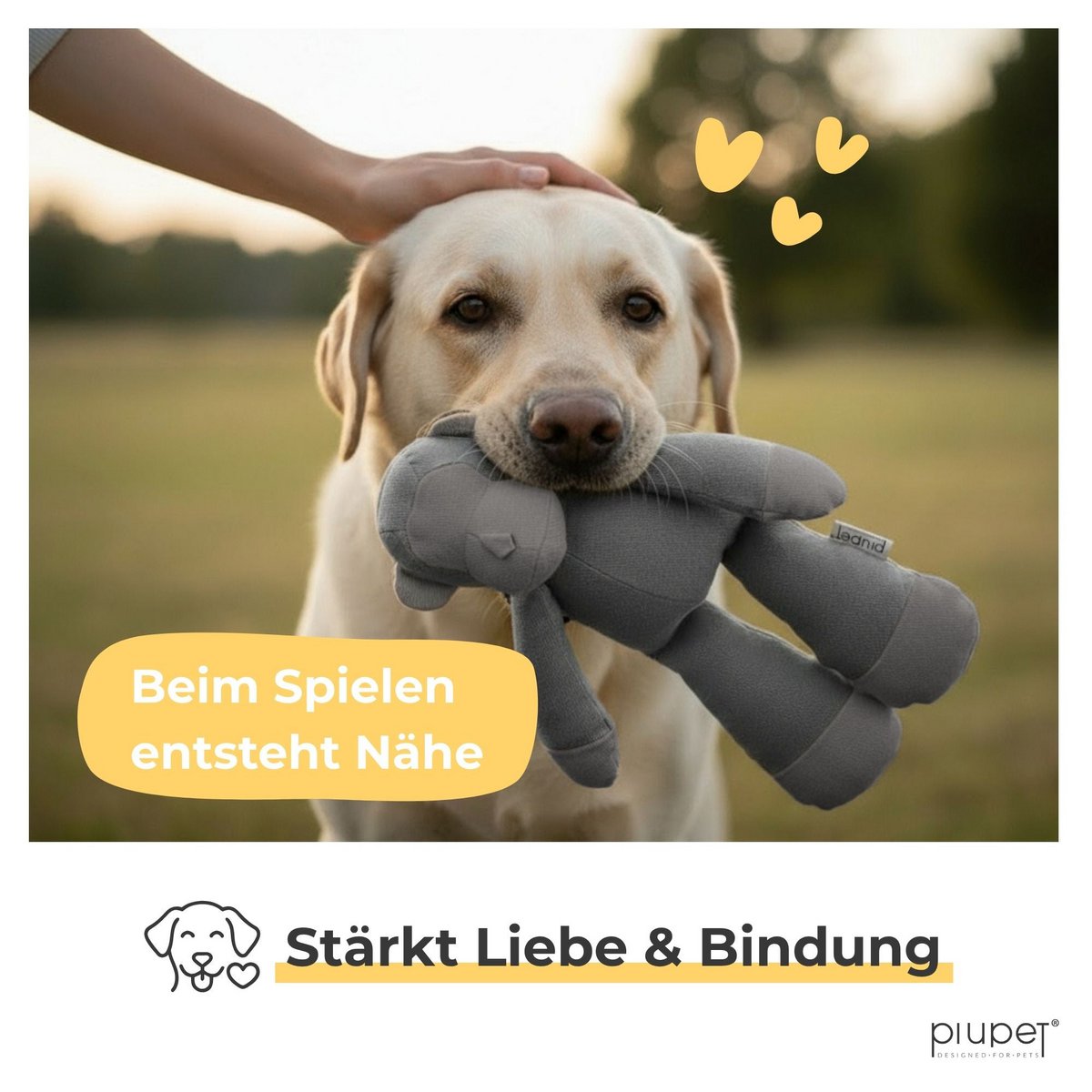 Gioco per cani "KIBA"