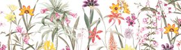 Selbstklebende Bordüre „Botanical Garden” Mehrfarbig auf Weiss