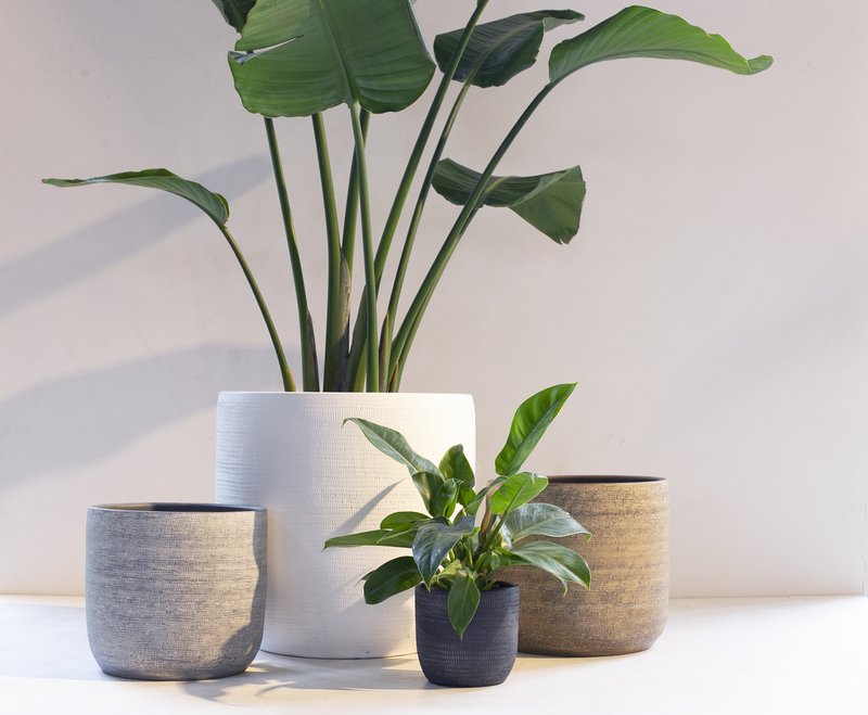 Magna pot relief jute ant brown