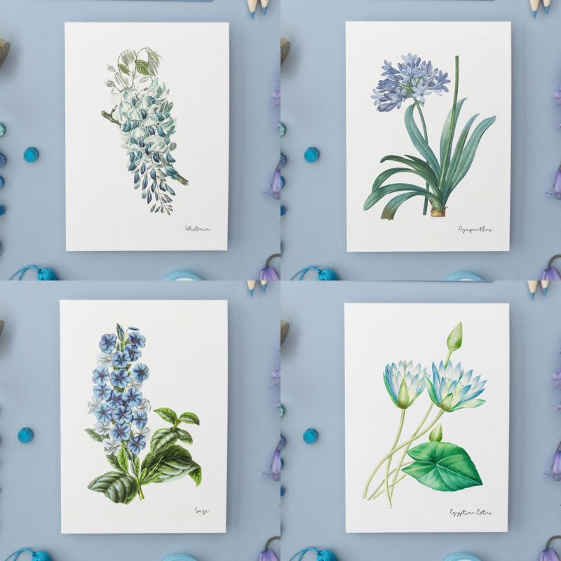 Pack Todos los Colores - Postales Hechas A Mano A6 con Sobre - Botanical Vintage