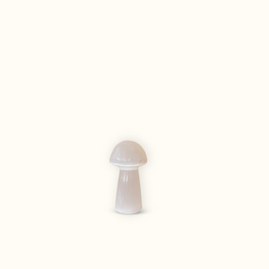 Selenit-Pilz