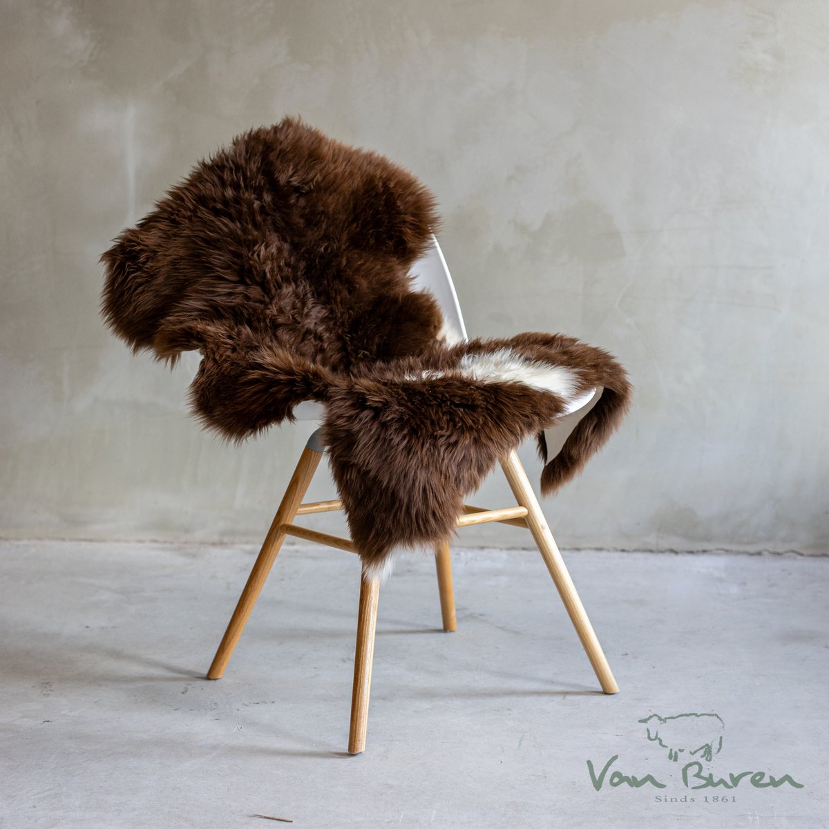 Peau de mouton Texel fourrure | 4 variantes