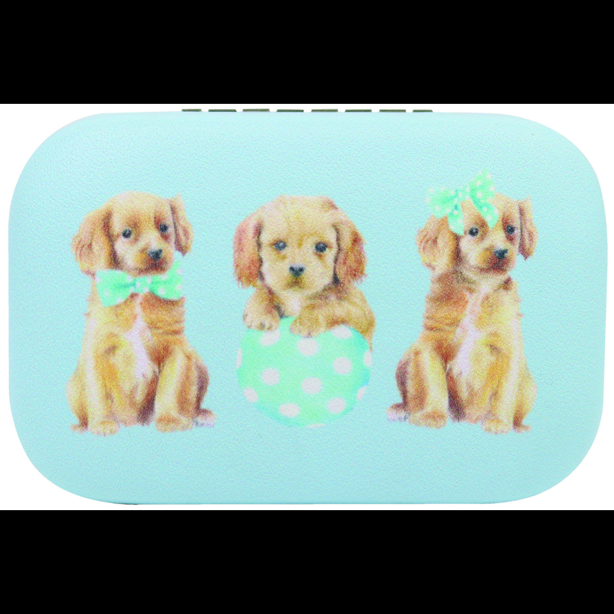 Portagioielli Rettangolare Portagioielli Cavoodle