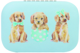 Rectangle Jewelery Travel Case Cavoodle's Jewelery Case