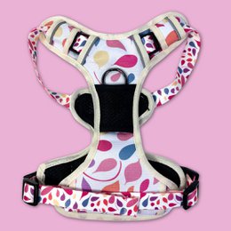 Petal Y Comfort Harness