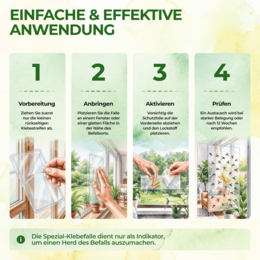 Fungus gnats window trap