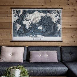 Verdens relief kort