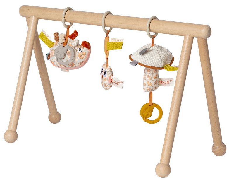 Van Dijk Toys & Dolce Houten Baby Gym Earth (Childcare Quality)