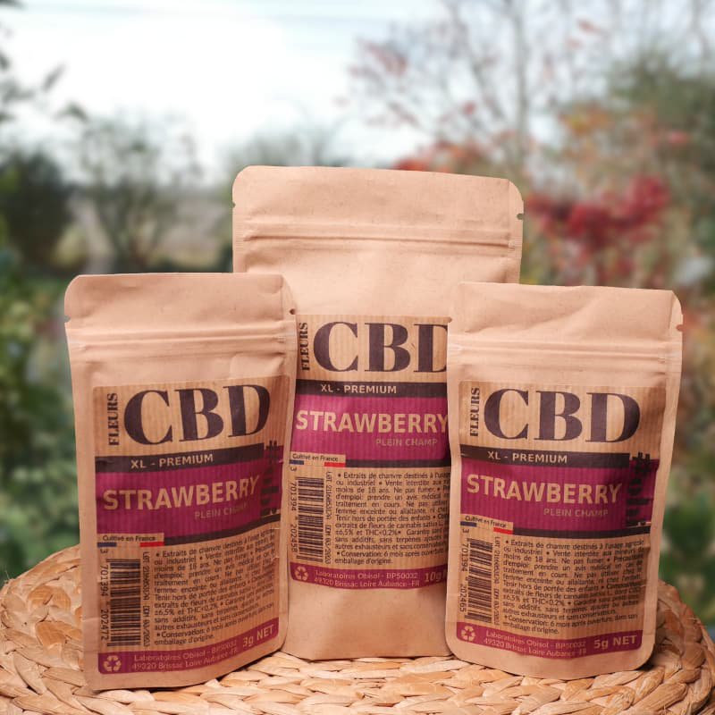 Kwiaty truskawki XL CBD