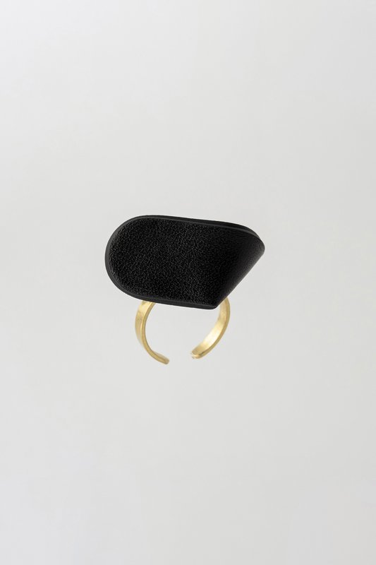anillo de hericon