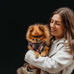 Hundebandana Lilla Tartan