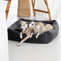 TEDDY I KLASSISK HUNDEBETT