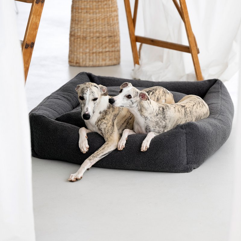 TEDDY I KLASSISK HUNDEBETT