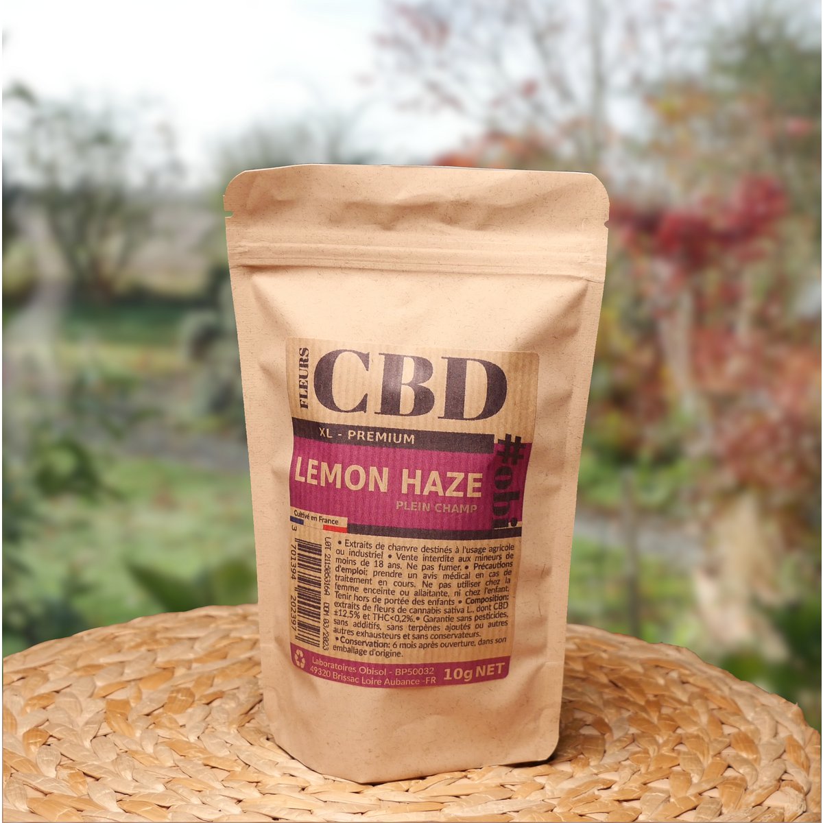 Fiori di Lemon Haze XL CBD