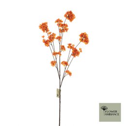 Prunus Malaga spray orange 126cm
