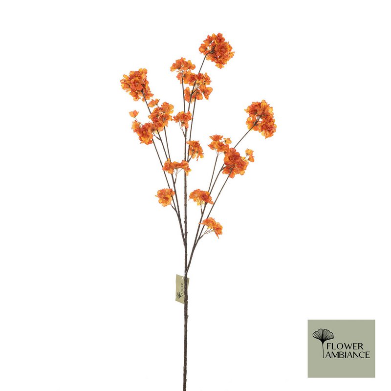 Prunus Malaga spray orange 126cm
