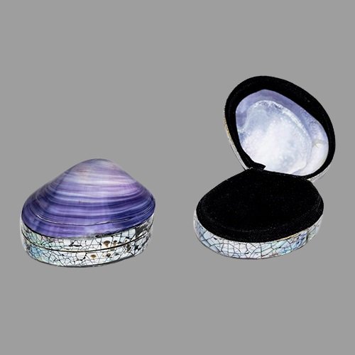 Muschelkiste III