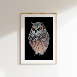 A detailed, high-quality fine art print of a striking owl against a dark background, showcasing the bird's intricate feather patterns and piercing eyes.
