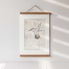 Kunstdruck "Kolibri" | verschiedene Größen