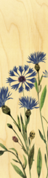 WOODEN PAGE MARK FLOWERS CARNATIONS