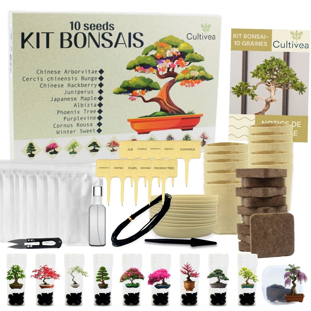 CULTIVEA® Kit of 10 Bonsai to Plant – Complete Box with Seeds, Pots, Tools & Instructions – Easy Indoor Planting Kit – Gardening Gift Idea | Made In France