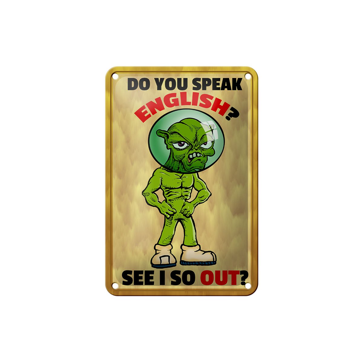 Blechschild Spruch 12x18cm Do you speak english See i so out Schild
