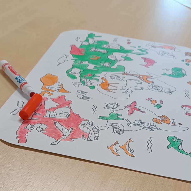 Pack 30 placemats + display