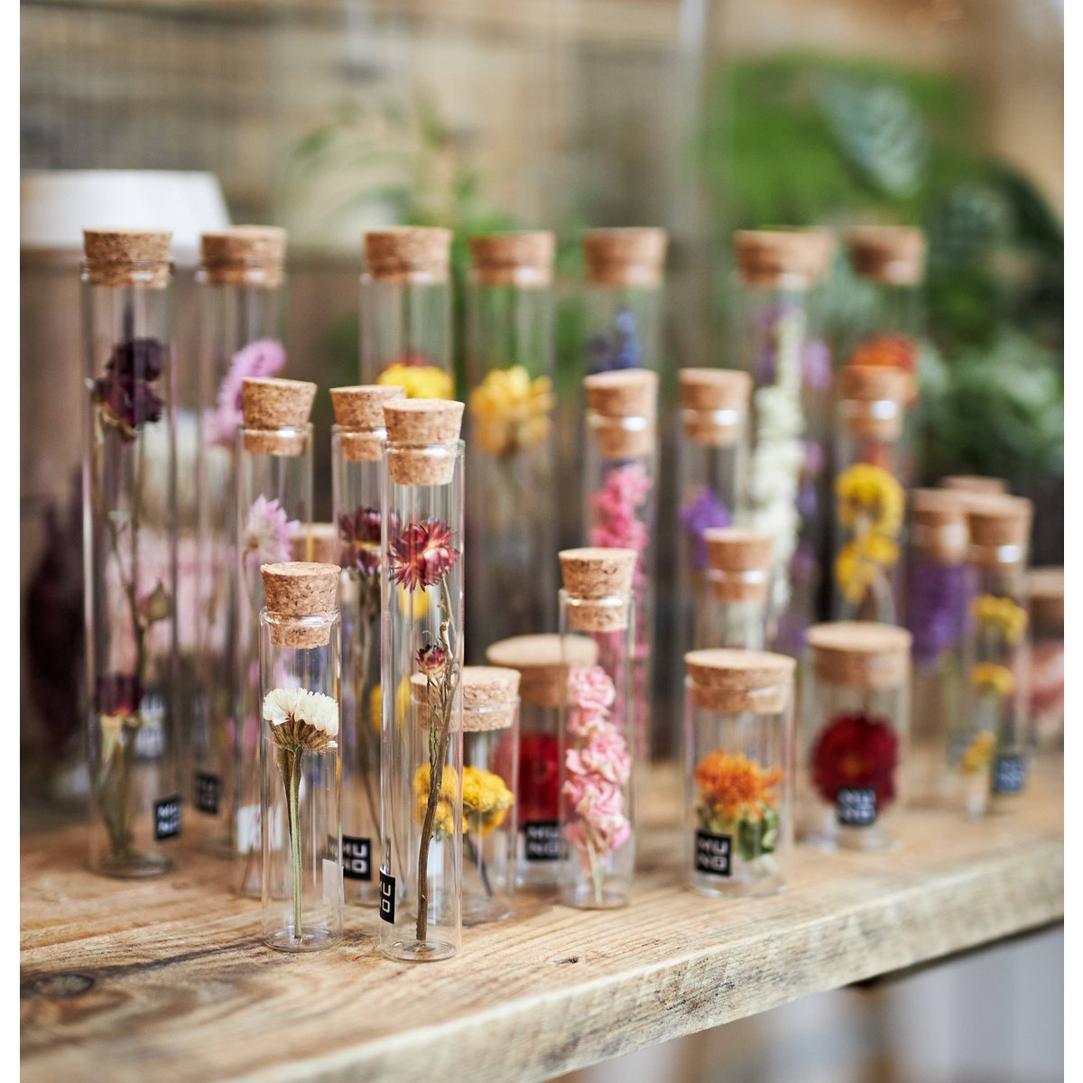 TUBE 10 CM WITH DRIED FLOWER - Gift
