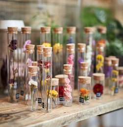 TUBE 10 CM WITH DRIED FLOWER - Gift