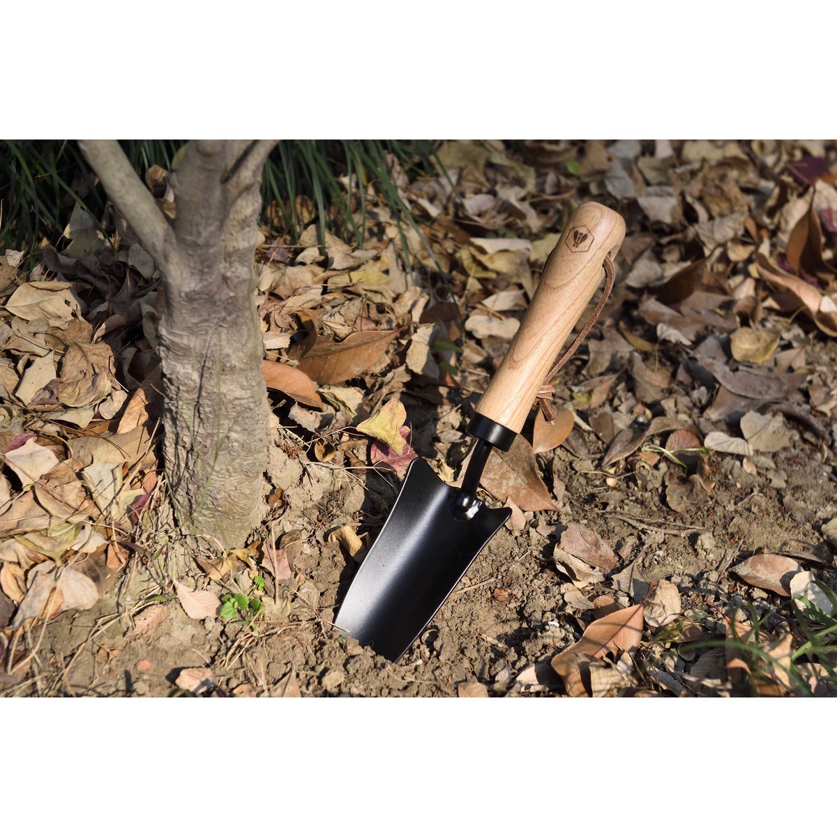 LAGUIOLE TRANSPLANTOIR Hand Transplanter