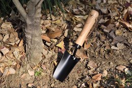 LAGUIOLE TRANSPLANTOIR Hand Transplanter