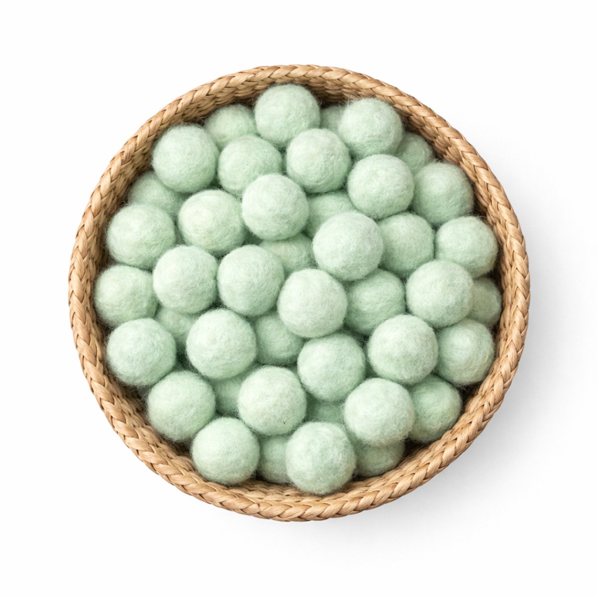 Craspedia XL blau