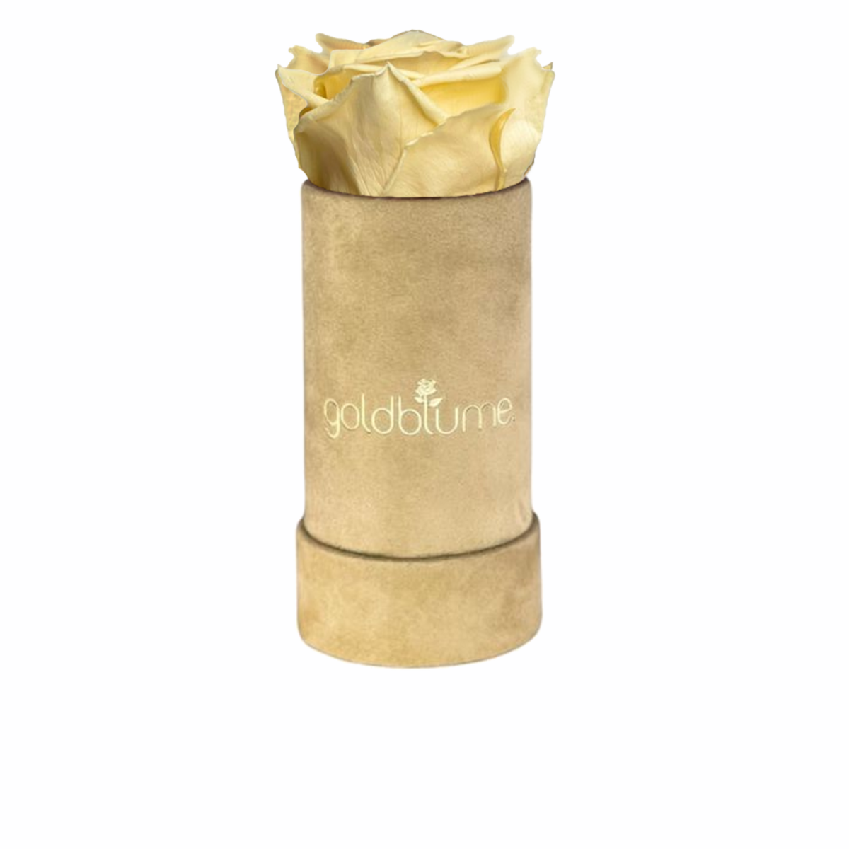 Colección Terciopelo Beige