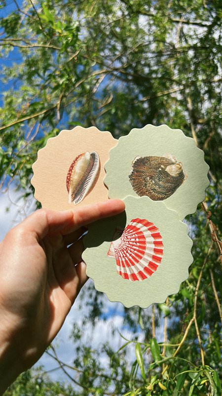 Coaster/Coaster 10 motifs shells - 12 sets