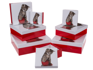 Rood/witte geschenkdozen, Kat,