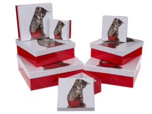 Rood/witte geschenkdozen, Kat,