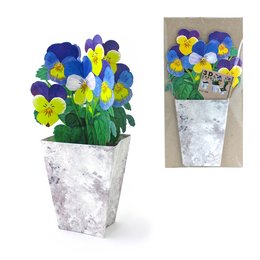 Colorful pansy flowers in a white ceramic planter. The pansies feature shades of blue, yellow, and green petals.