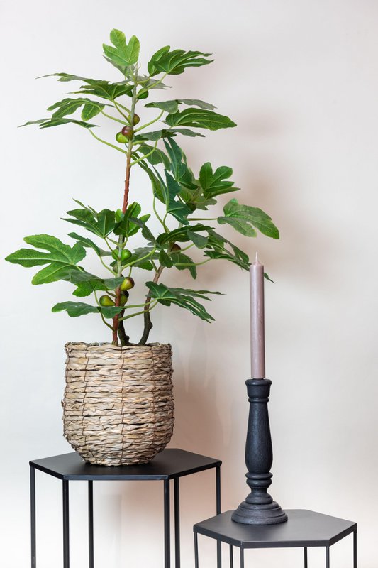 Art Plant - Ficus Carica - Figen Tree - 95 cm