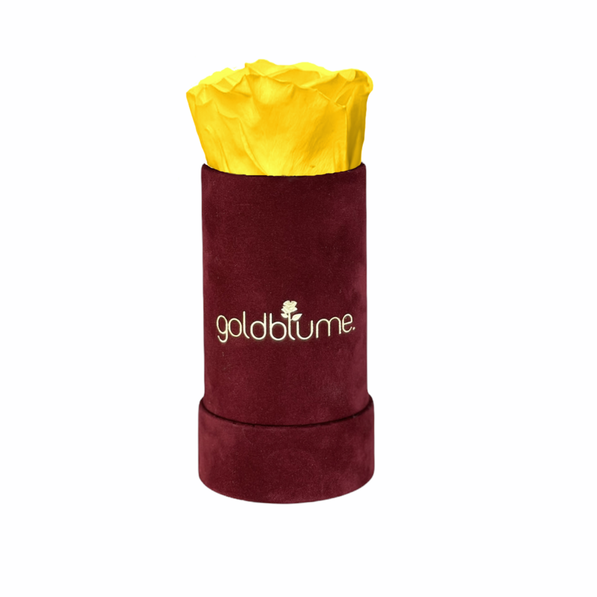 Collection Velours Bordeaux