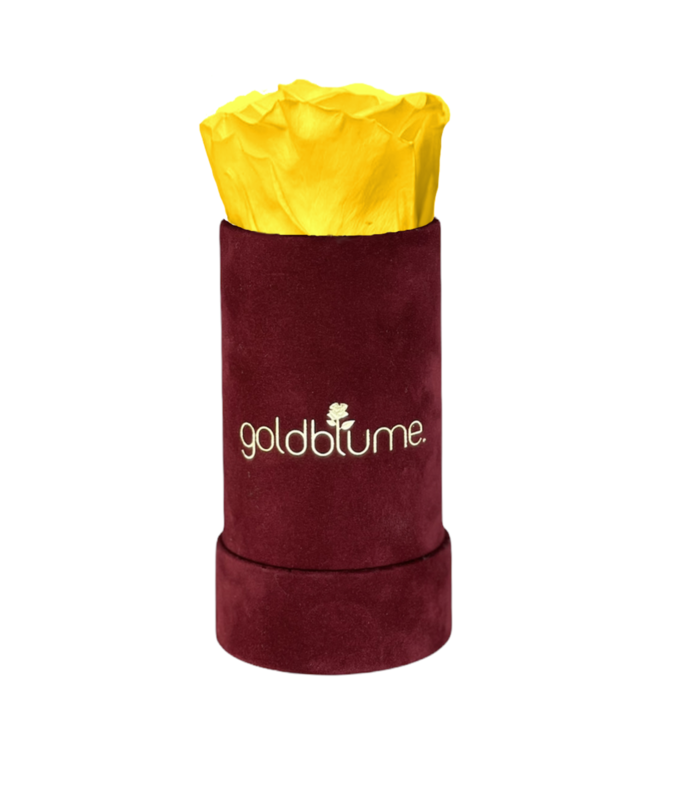 Velvet Bordeaux Collection