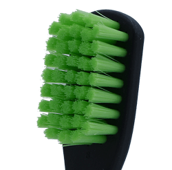 promis brush single (12 pack)